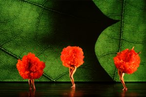 Momix - Théâtre des Champs Elysées Momix - Théâtre des Champs Elysées