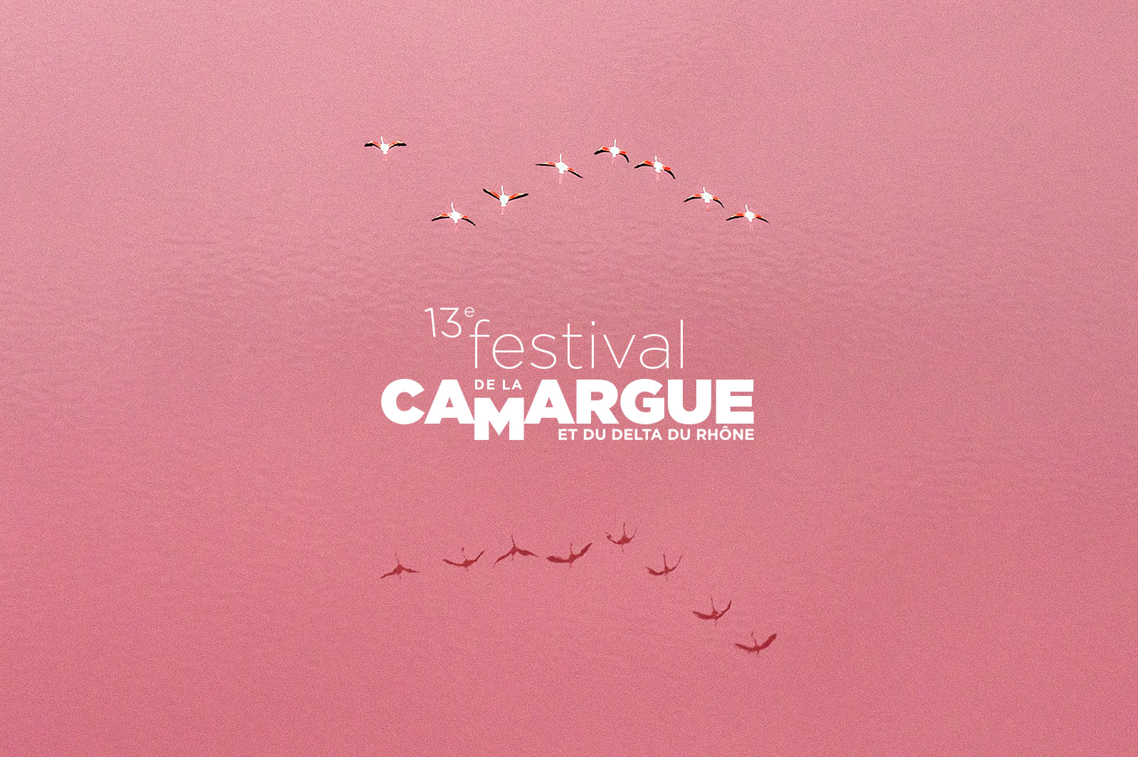 hôtel pour le festival de la Camargue
