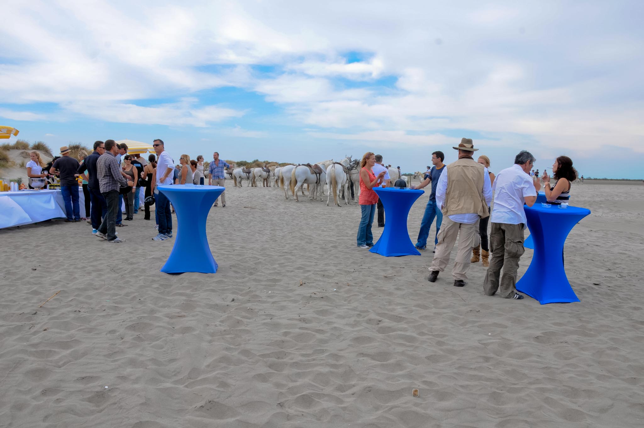Networking after the seminar with your colleagues on the beach in Camargue